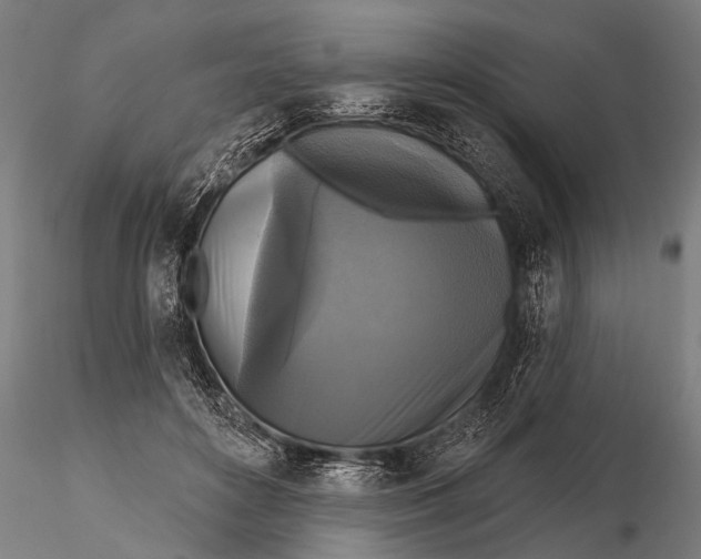 X0000115670504200912031359