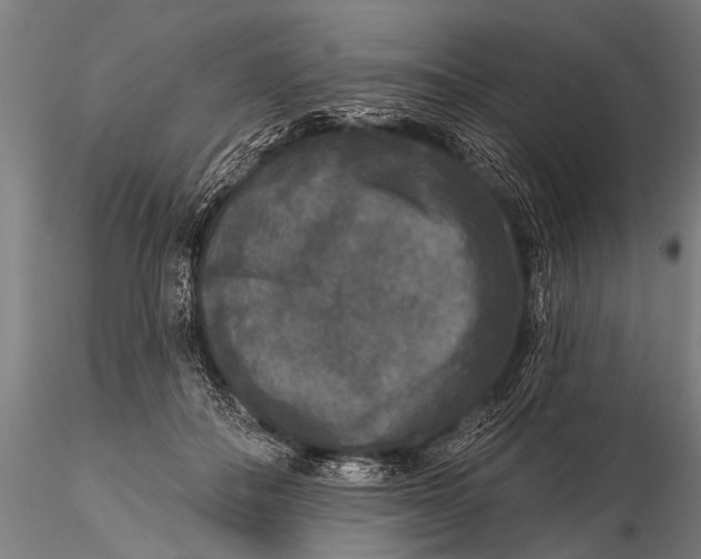 X0000115670506200912031359