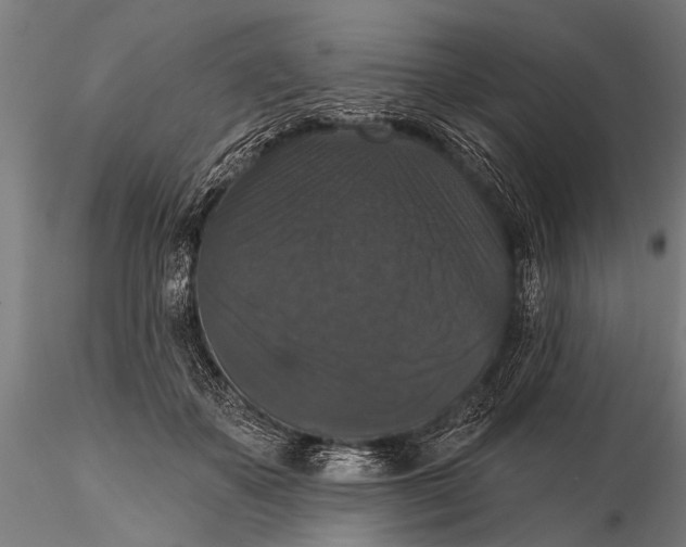 X0000115670507200912031359