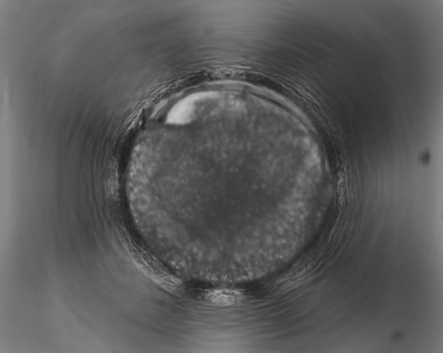 X0000115670508200912031359