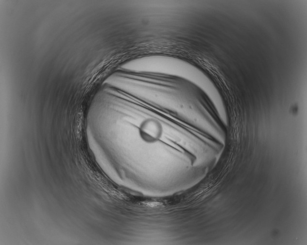 X0000115670509200912031359