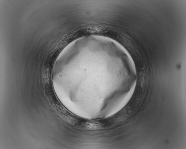 X0000115670510200912031359