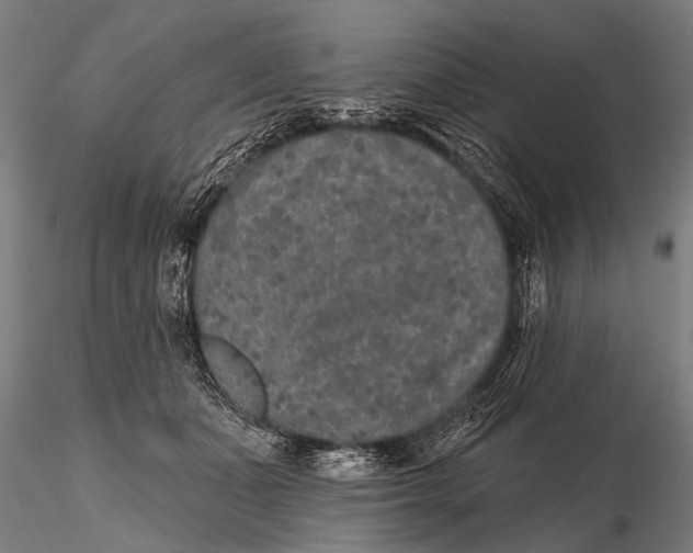 X0000115670511200912031359