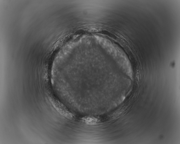 X0000115670512200912031359