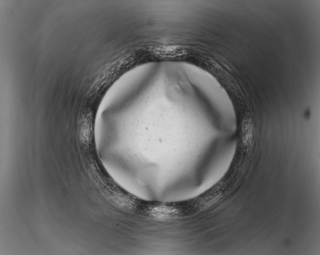 X0000115670515200912031359