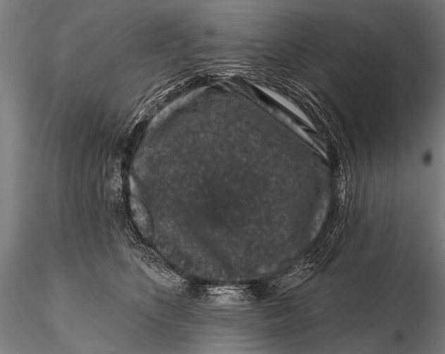 X0000115670516200912031359