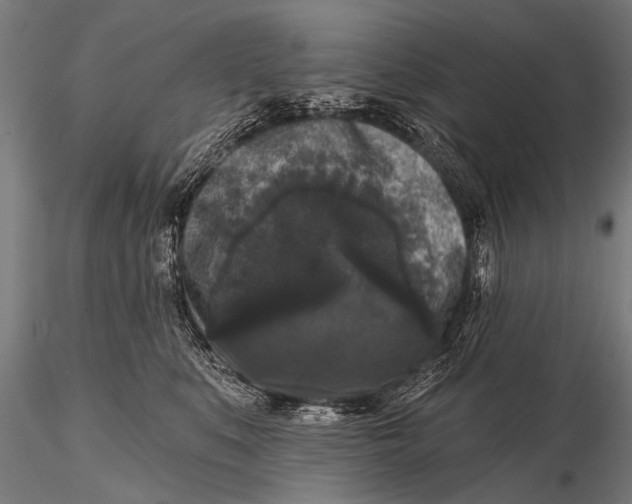 X0000115670519200912031359