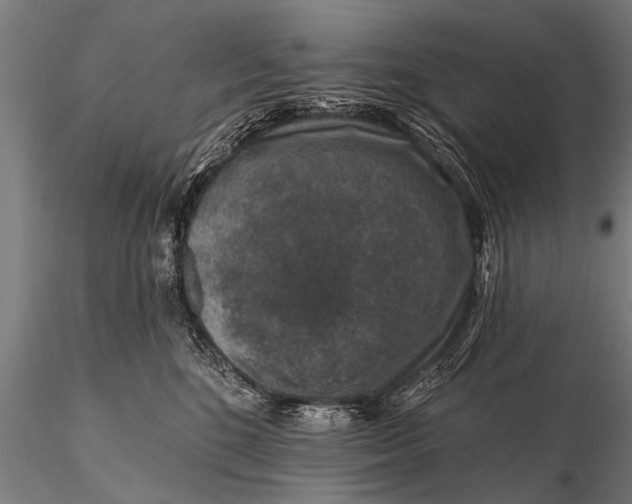 X0000115670520200912031359