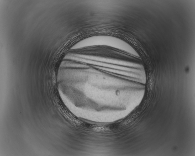 X0000115670521200912031359