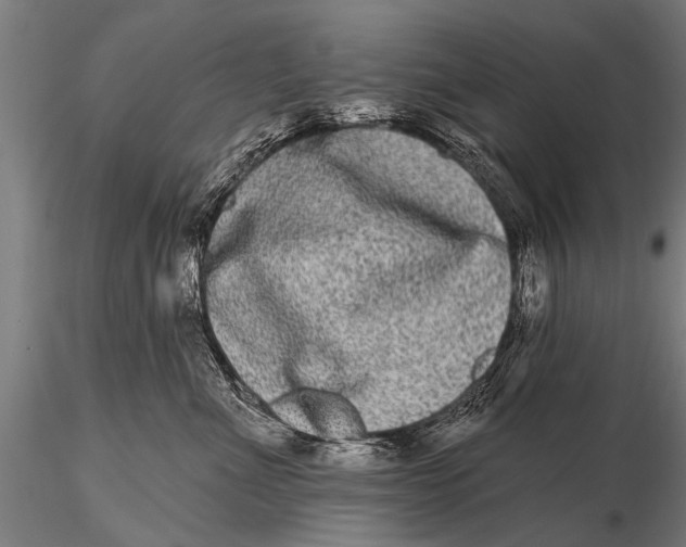 X0000115670523200912031359