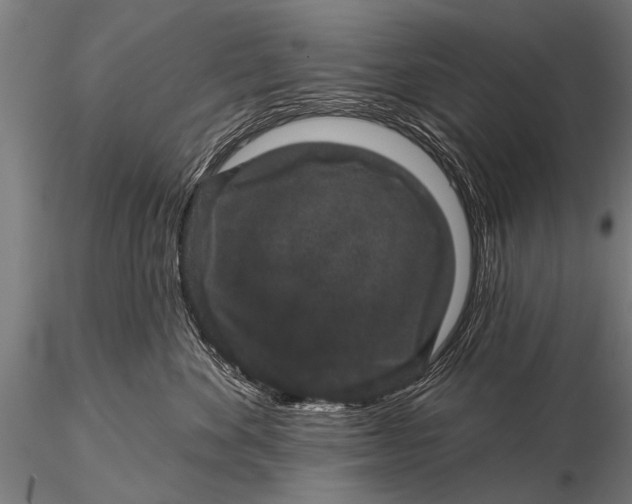 X0000115670524200912031359