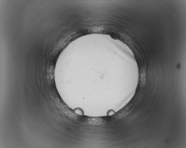 X0000115670525200912031359