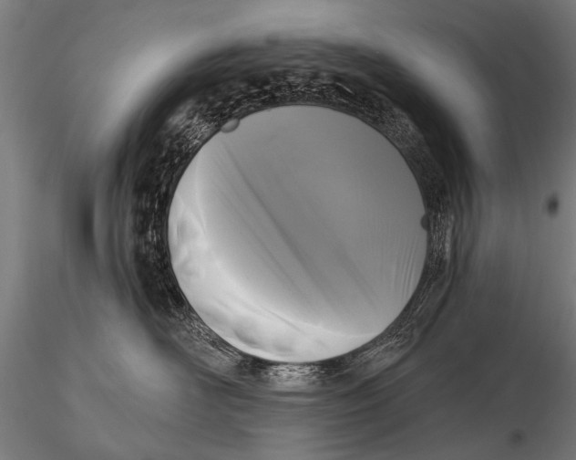 X0000115670526200912031359