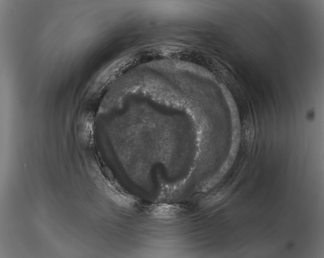 X0000115670527200912031359