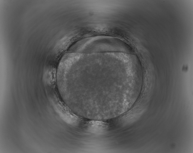 X0000115670528200912031359