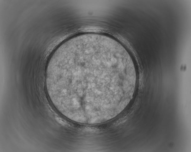 X0000115670529200912031358