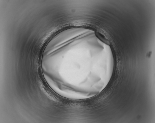 X0000115670530200912031358