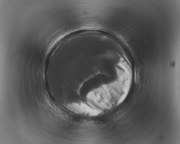 X0000115670531200912031358