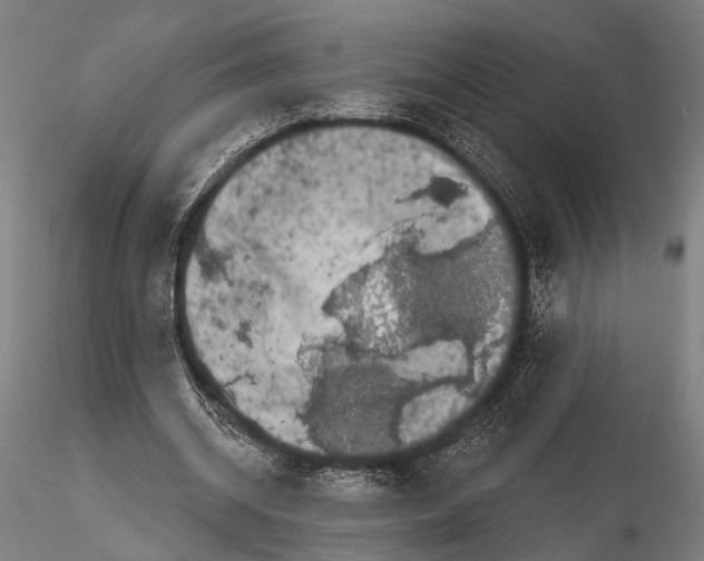 X0000115670534200912031358