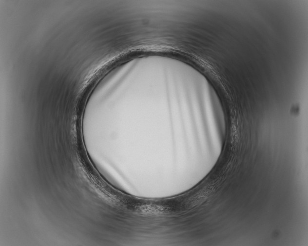 X0000115670535200912031358