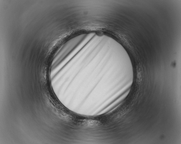 X0000115670539200912031358