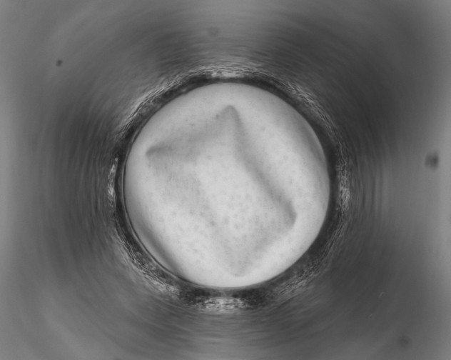 X0000115670543200912031358