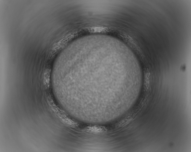 X0000115670545200912031358