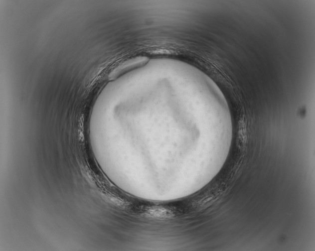 X0000115670547200912031358