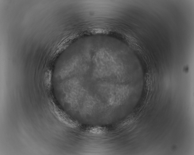 X0000115670550200912031358