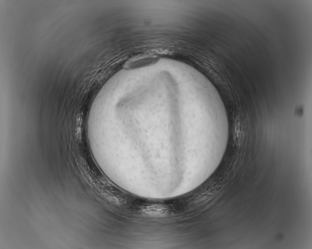 X0000115670551200912031358