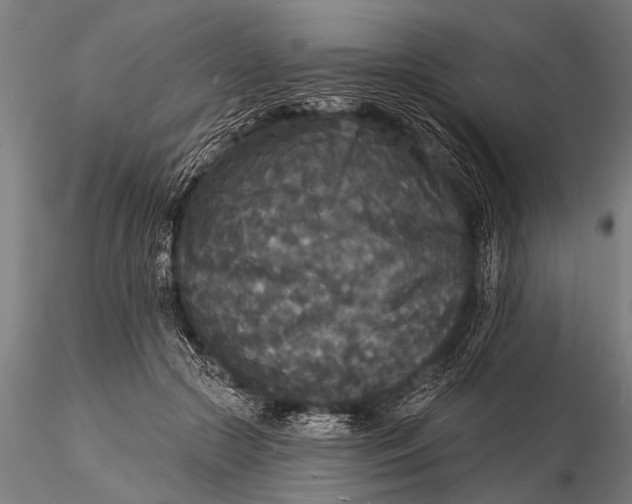 X0000115670553200912031358