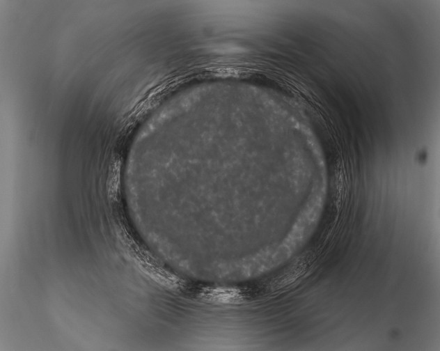 X0000115670554200912031358