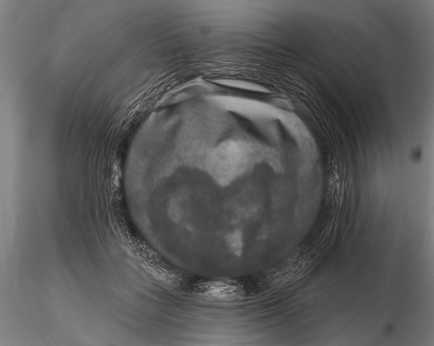 X0000115670555200912031358