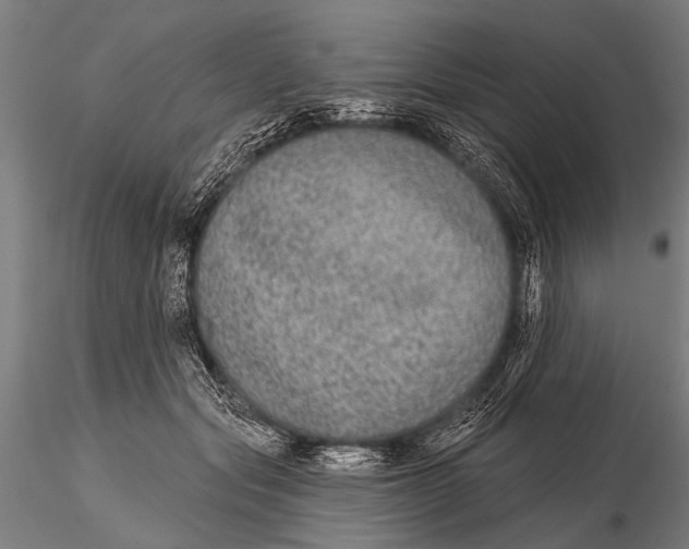 X0000115670557200912031358