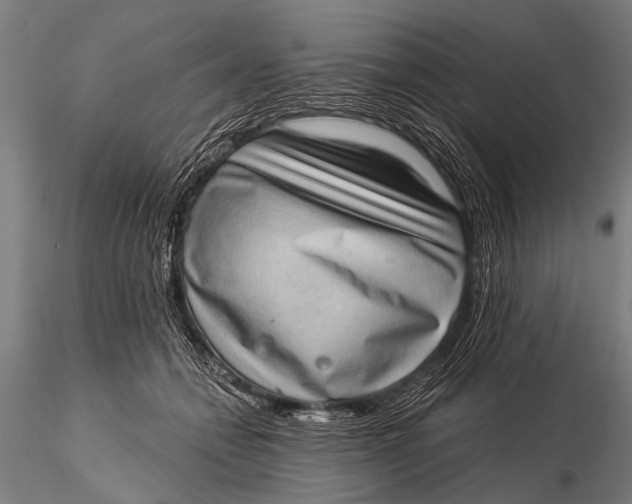 X0000115670558200912031358