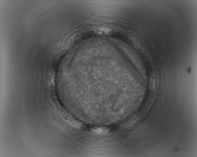 X0000115670561200912031359