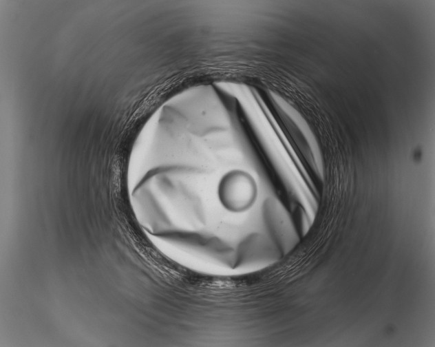 X0000115670562200912031359