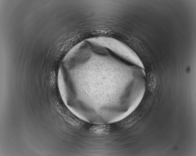 X0000115670563200912031359