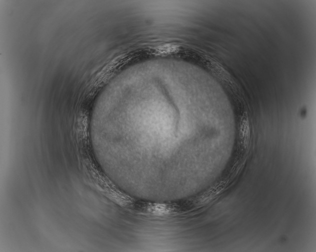 X0000115670565200912031359