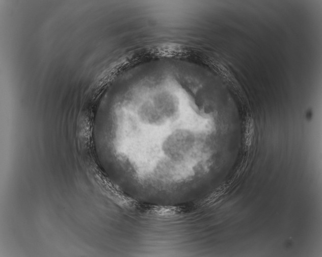 X0000115670569200912031359