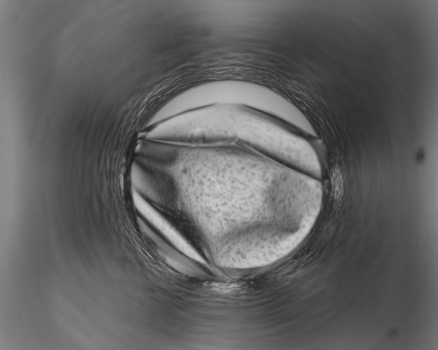 X0000115670570200912031359