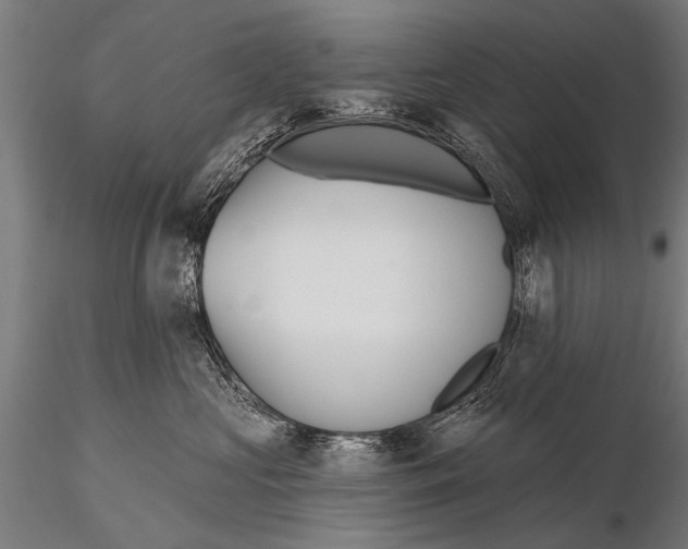 X0000115670573200912031359