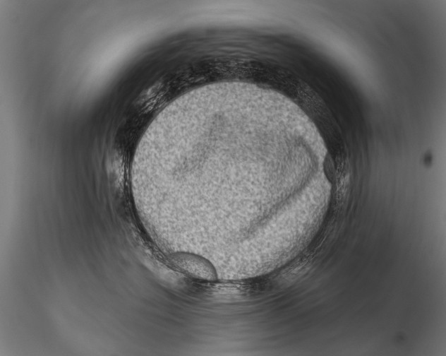 X0000115670574200912031359