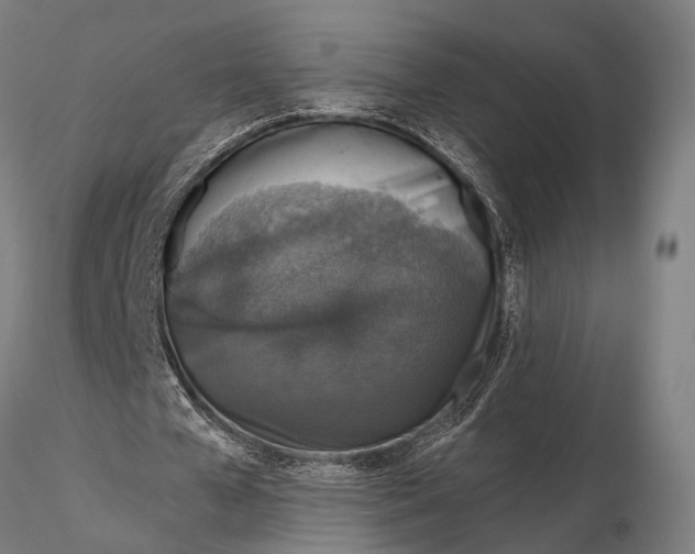 X0000115670577200912031358