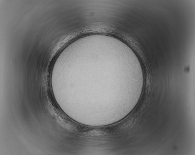 X0000115670578200912031358