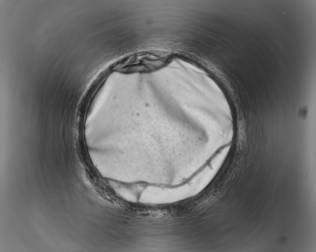 X0000115670580200912031358