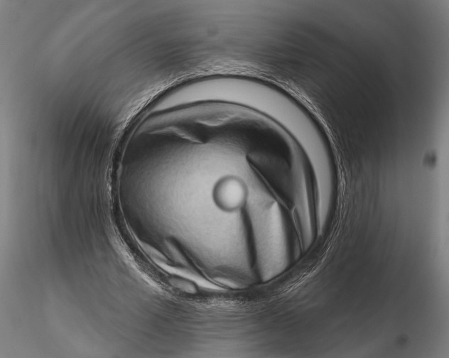 X0000115670581200912031358