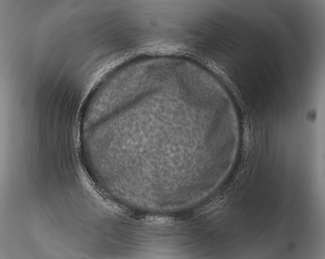 X0000115670582200912031358