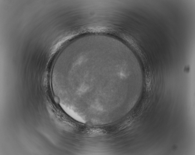 X0000115670583200912031358