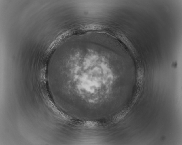 X0000115670585200912031358